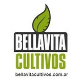 Carpa Indoor Cultivo 80x80x160 / Bellavita - Kaizen Growshop