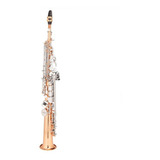 Saxofone Soprano Michael Dual Gold Wssm49