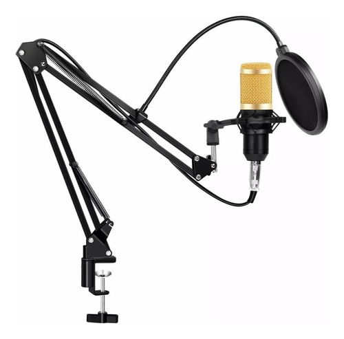 Microfono Profesionalcon Brazo Plegable Y Filtro Condenser !