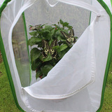 Mariposario Grande, Plegable, Portátil, Duradero Y Ventilado