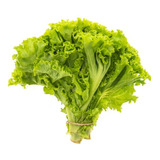 Lechuga Grand Rapids Crespa A Granel 50gr