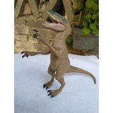 Velociraptor Jurassic World © Hasbro 2015       20cm   