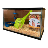  Jaula Casa Habitat Para Hamster Cuyo Cobayo  + Envio Gratis