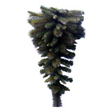 Arvore De Natal Invertida 39 Galhos Com Pinhas 60cm