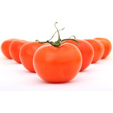 Tomate Ace 55 Variedade Crioula Heirloom 50 Sementes P/mudas