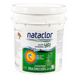 Cloro Para Piletas Instantáneo Multiacción 20kg Nataclor