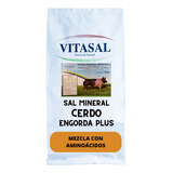 Sal Mineral Para Cerdo De Engorda Vitasal Plus 20 Kilos.