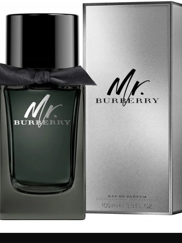 Perfume Mr Burberry Eau De Parfum Masculino 100ml 