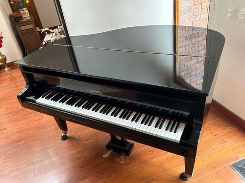 Piano De Cola Schimmel Model 117 Alemán De Colección 