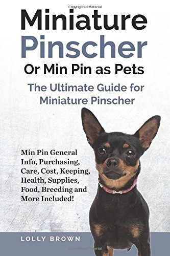 Pinscher Miniatura O Min Pin Como Mascotas Min Pin Informaci