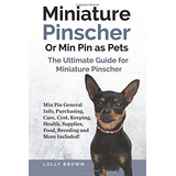 Pinscher Miniatura O Min Pin Como Mascotas Min Pin Informaci