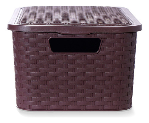 Canasto Cajon Organizador Símil Rattan Plastico Mediano 