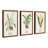 Trio De Quadros Decoração Moldura Floral Botânico Quarto 