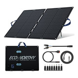 Panel Solar Portátil Eco-worthy 100w Con Soporte Ajustable P