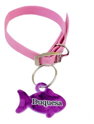 Collar 1 Cm Elastico Regulable + Chapita Para Gato Gatos