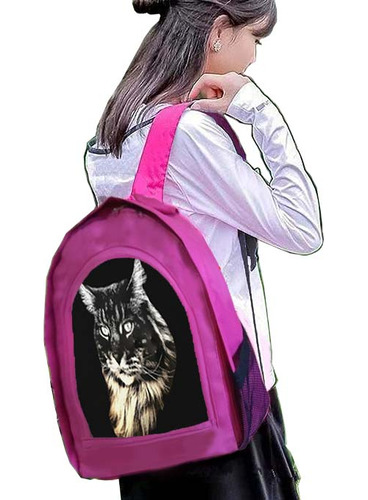 Mochila Escolar Urbana Felino Gatitos Gatos Diseño 105