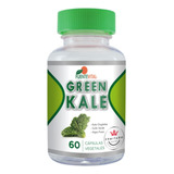 Kale + Té Verde + Alga Focus - Digestivo Adelgazante Natural