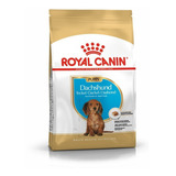 Royal Canin Dachshund Puppy Para Perro Cachorro Salchicha 3k