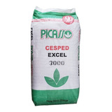 Semillas Cesped Ryegras Perenne Prof Excel 3000 25kg Picasso