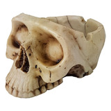 Crânio Caveira Cinzeiro Decorativo Em Resina Skull Ossos