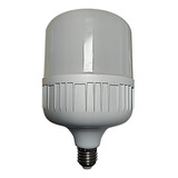 Lampara Led Galponera Depósito 40w Fria E27