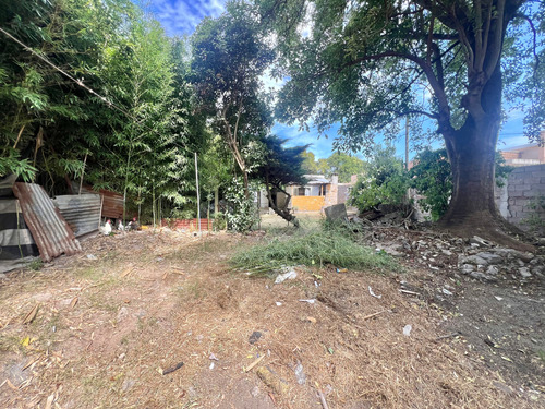 Venta Terreno 1035m2 En Carrasco Norte - Imagen 3
