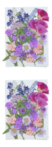 Flores Secas Naturales Prensadas En Relieve Para Bricolaje,