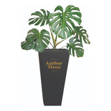 Planta Monstera Costilla De Adan Con Maceta Piramidal 40cm