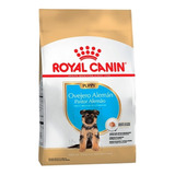 Royal Canin Ovejero Junior 12 Kg Envio Gratis Correo Tp+