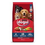 Dogui Adulto X 21 Kg