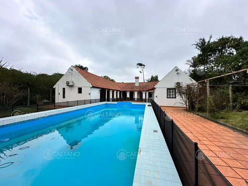 Venta Espectacular Casa Punta Del Este, Golf - 4 Dormitorios Con Piscina Y Gran Parque - Imagen 4