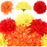 Conjunto De 40 Cabezales De Flor De Marigold Grandes - ...