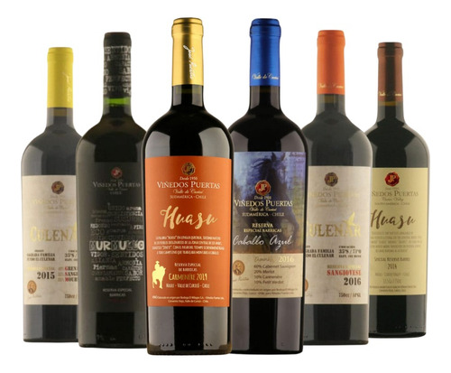 Vinos Blend Reserva Especial Mix 6 Unidades Viñedos Puertas