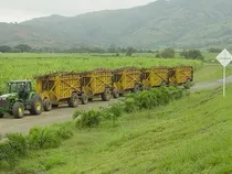  Monte Plata Bayaguana Guerra Nagua Los Llanos Hato Mayor Seibo Finca Cañera Agrícola Ganadera  75,000 Tarea  