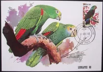 B5568  Máximo Postal Nº 61 Papagaios Cb São Paulo