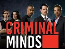 Criminal Minds - Coleção Completa Legendada Com Caixinhas