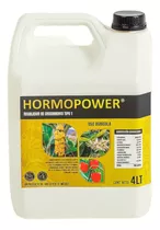 Hormonas Crecimiento Vegetal Fertilizante Orgánico 4 Lt