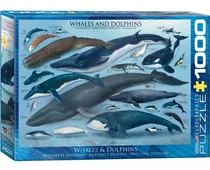 Puzzle 1000 Piezas Whales And Dolphins - Eurographics  