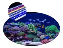 Kit 3 Luminária 60cm Barra Tubo Led  Aquário Peixes