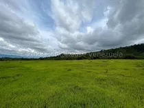 Raiza Suarez  Vende Hermosa Finca D 27.5 Hectáreas En Sabana De Méndez, Yaracuy, Cerca De Urachiche, 19 Hectáreas Aprx Pasto Brizanta, Listo Para Trabajar En Ganadería Caprina, Ovina O Bovina 24 4541 