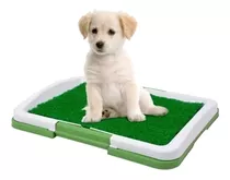 Baño Sanitario Perro Y Gatos Bandeja Mascotas Puppy Potty ®