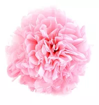 Pompon De Papel - Decoracion - 30 Cm 