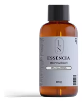 Essência Concentrada Hs 100ml Para Armatizantes - Premium 