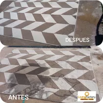 Limpieza Profesional De Carpetas Y Alfombras