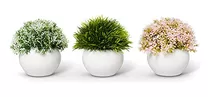 Mini Plantas Artificiales | Modernas Plantas De La Casa De C