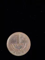 Moneda  1 Colon Color Dorado Tamaño  1 Cm