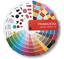 Cartela De Cores (mini) Coloraçãopessoal Primavera Brilhante