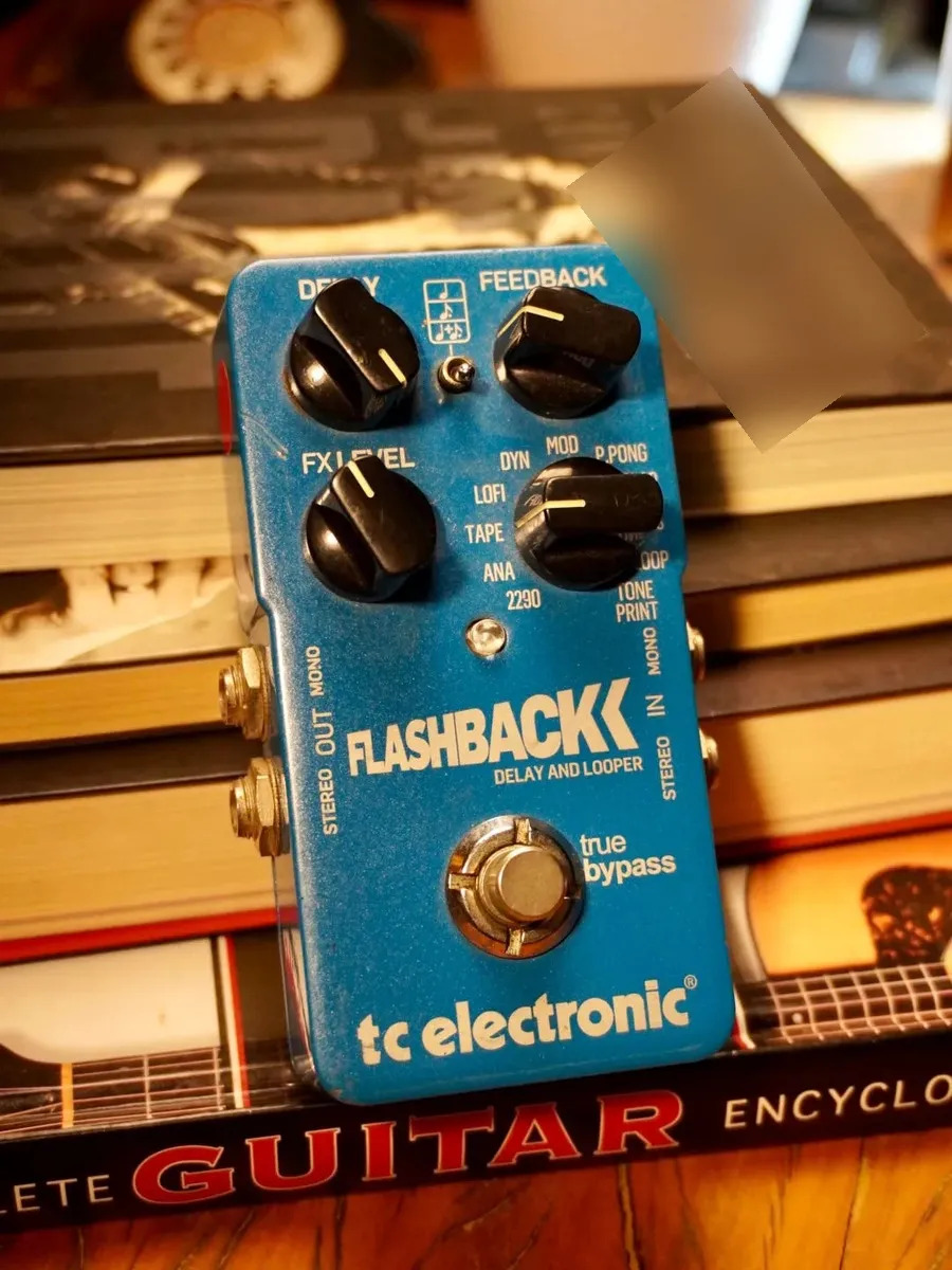 Pedal Tc Electronic Flashback Delay Mini | Mercado Livre