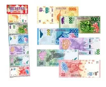 Dinero Juguete X80 Billetes Argentinos Didactico Modelo 2018