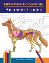 Libro Veterinario Libro Para Colorear De Anatomía Canina Lvt